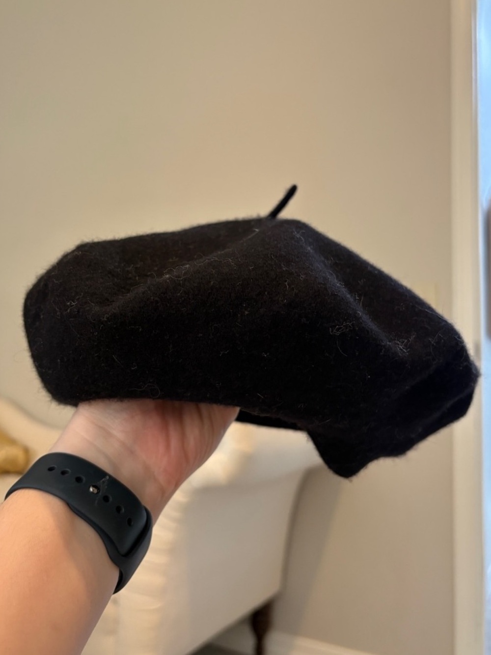 Aritzia Auxiliary wool beret